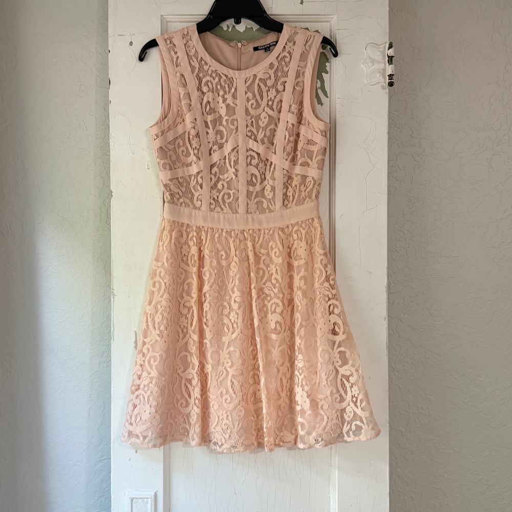 Gianni Bini Blush Pink Lace Fit and Flare Dress Sleeveless Size 4